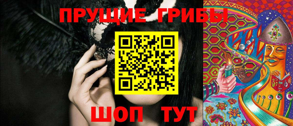 Псилоцибиновые грибы Cubensis Коркино